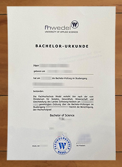 Fachhochschule Wedel degree