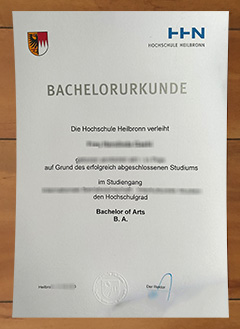 Hochschule Heilbronn degree