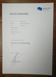 Hochschule Mainz degree