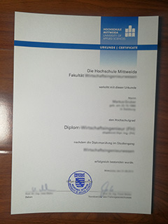 Hochschule Mittweida degree