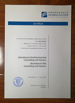 Hochschule Schmalkalden degree