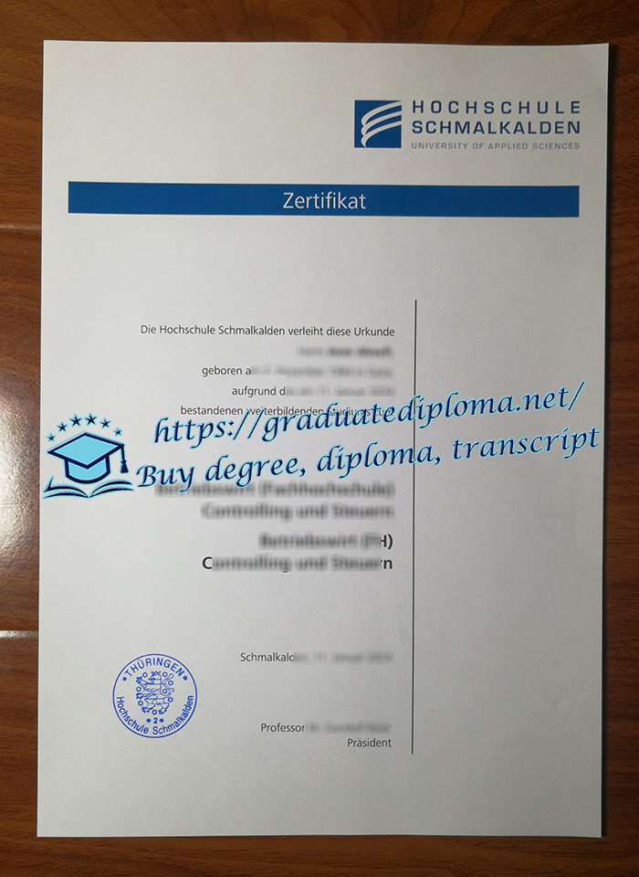 Hochschule Schmalkalden diploma