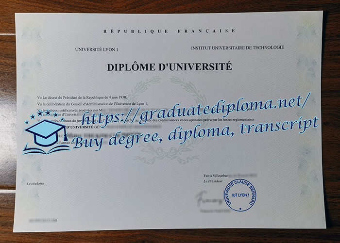 IUT Lyon 1 diploma