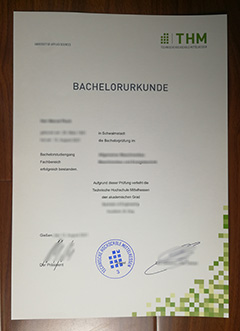 Technische Hochschule Mittelhessen degree