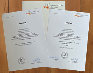 Universität Passau degree