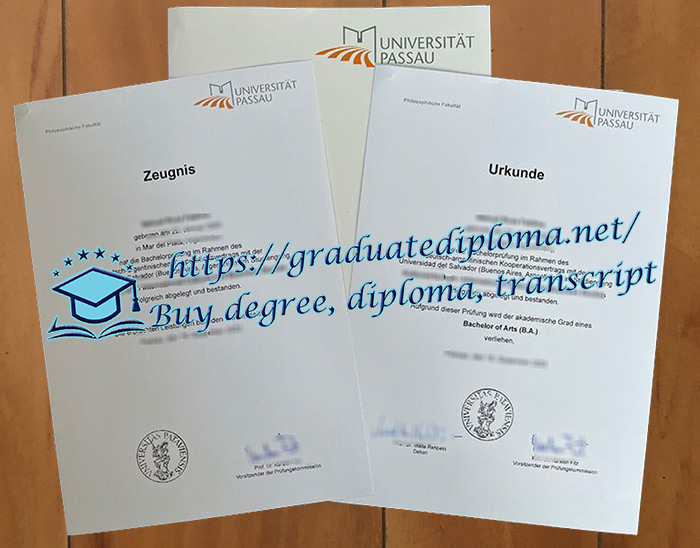 Universität Passau diploma