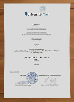Universität Trier degree