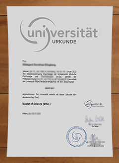 Universität Witten-Herdecke degree
