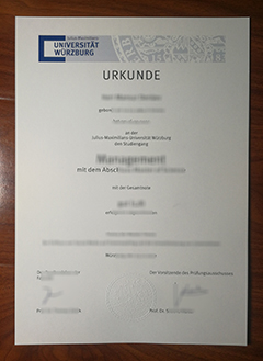 University of Würzburg degree