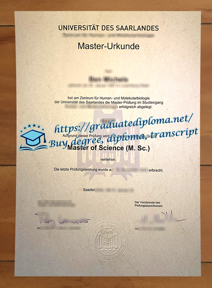 Universität des Saarlandes diploma