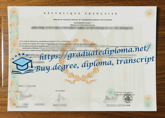 Université Lyon 1 diploma