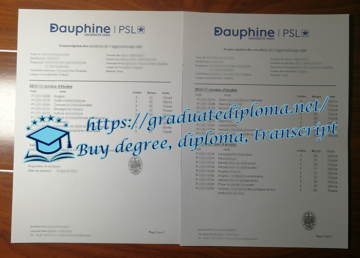Paris Dauphine University transcript