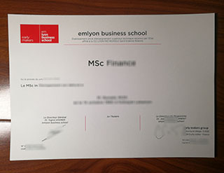 Emlyon Business School degree