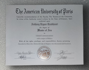 American University of Paris degree