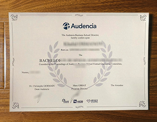 Audencia Business School degree