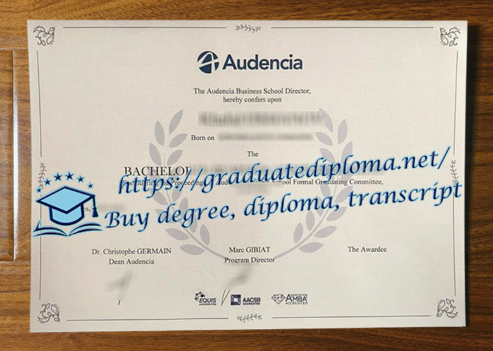Audencia Business School diploma
