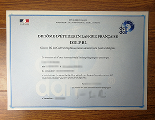 DELF B2 certificate