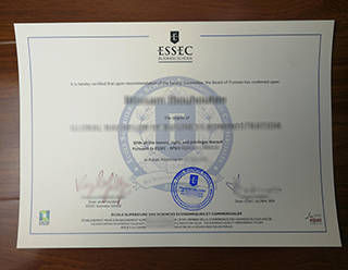 ESSEC Business School degree