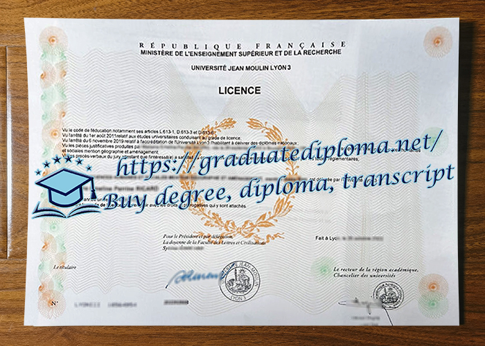 Université Jean Moulin Lyon 3 diploma