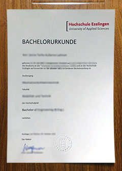 Hochschule Esslingen degree