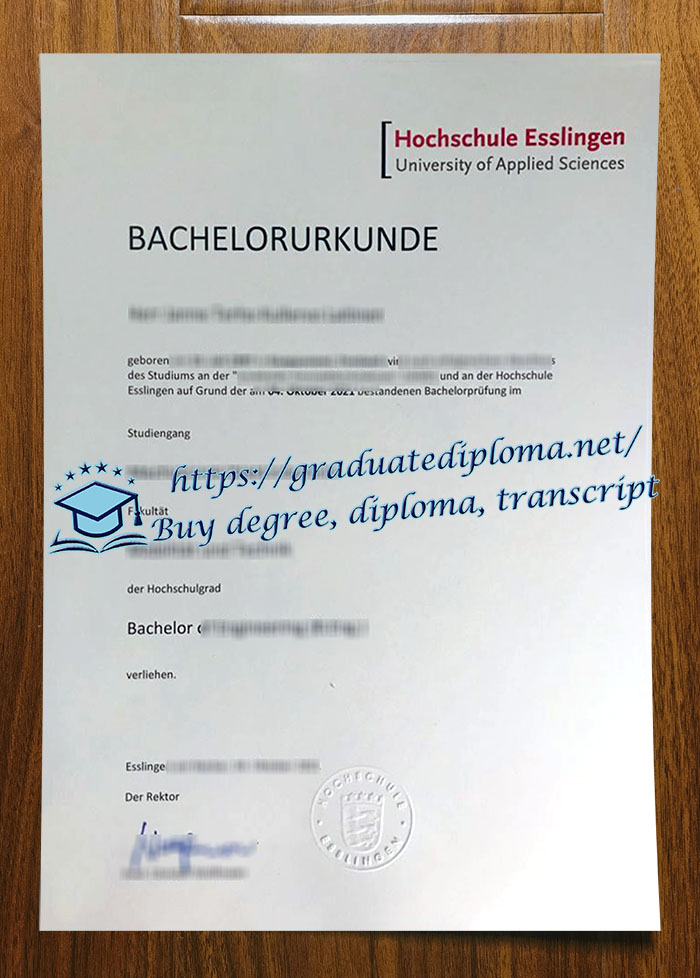 Hochschule Esslingen diploma