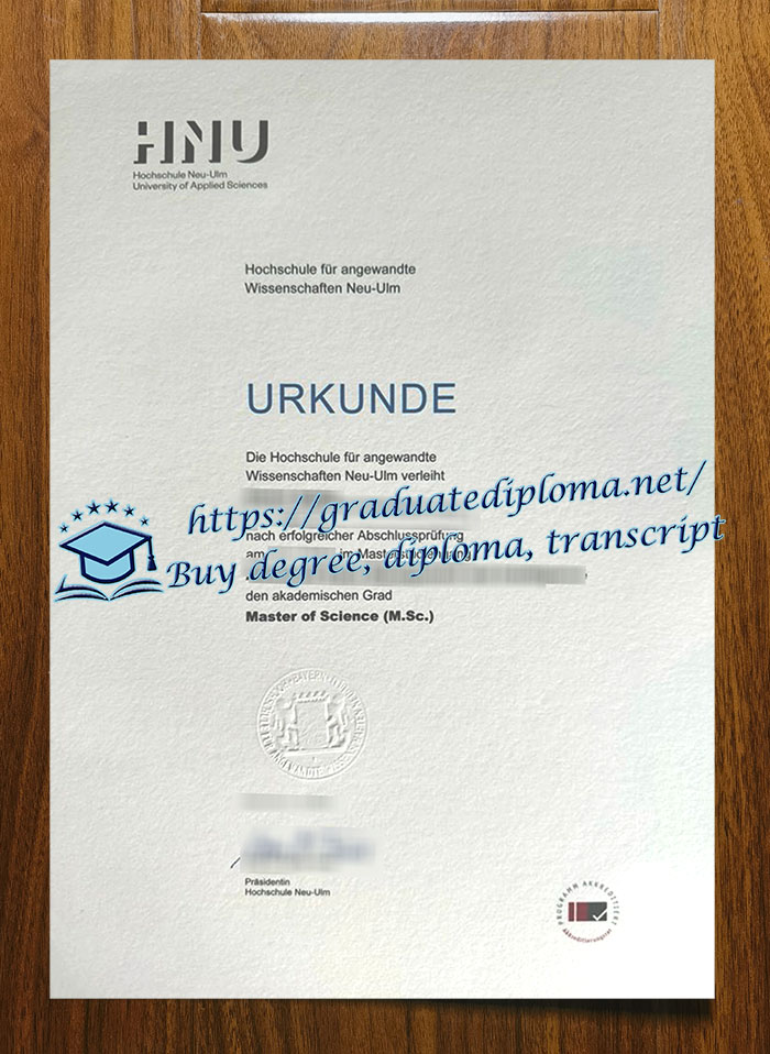 Hochschule Neu Ulm diploma