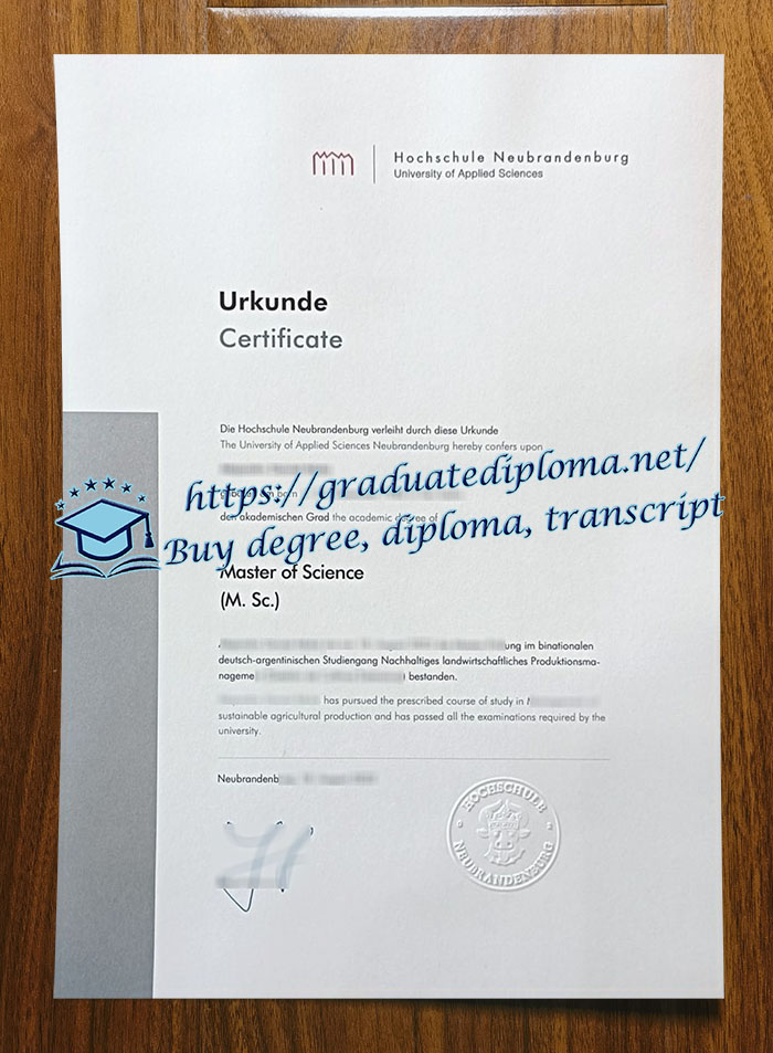 Hochschule Neubrandenburg diploma