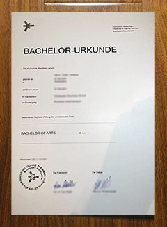 Hochschule RheinMain degree