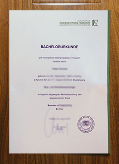 Hochschule Weihenstephan-Triesdorf degree