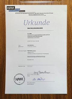 Hochschule für angewandte Wissenschaft und Kunst degree