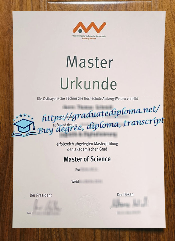 OTH Amberg-Weiden diploma