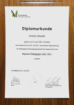 Pädagogische Hochschule Ludwigsburg degree