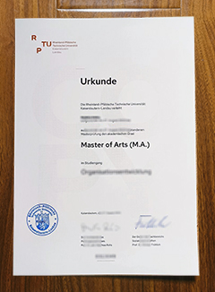 RPTU Kaiserslautern - Landau degree