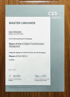 CBS International Business School degree