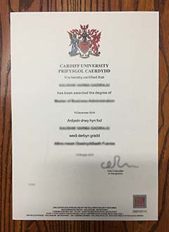 Cardiff University degree