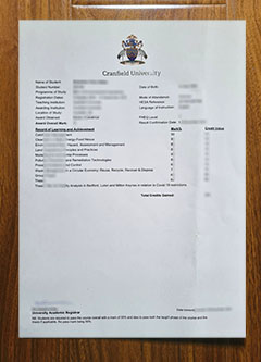 Cranfield University transcript