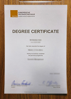 Europäische Fachhochschule degree