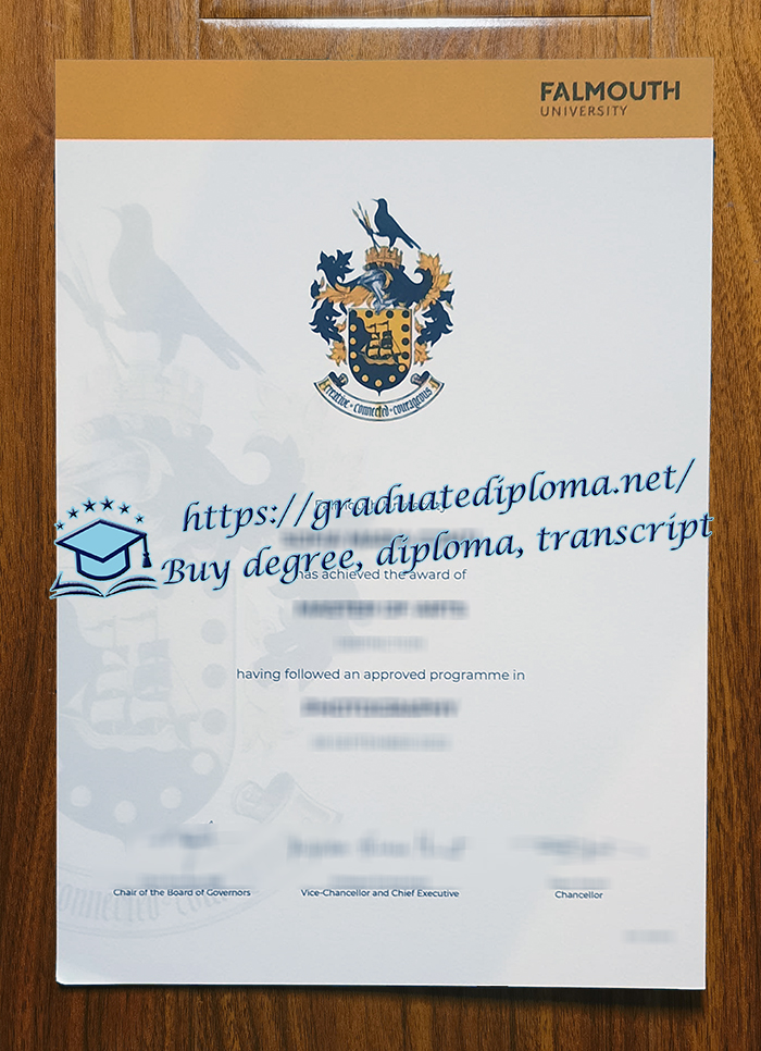 Falmouth University diploma