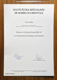 Haute École spécialisée de Suisse occidentale degree