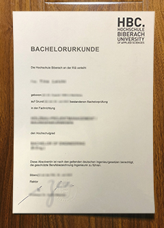 Hochschule Biberach degree