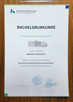 Hochschule Nordhausen degree