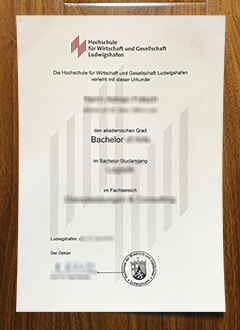 Hochschule für Wirtschaft und Gesellschaft Ludwigshafen degree