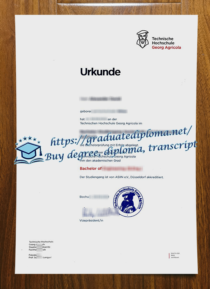 Technische Hochschule Georg Agricola diploma