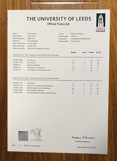 University of Leeds transcript