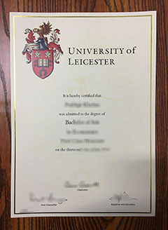 University of Leicester degree