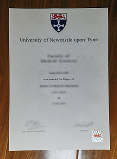 Newcastle University degree