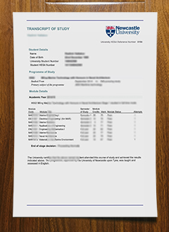 Newcastle University transcript