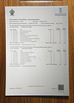 Swansea University transcript