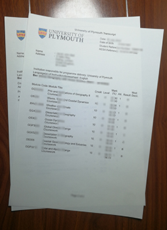 University of Plymouth transcript