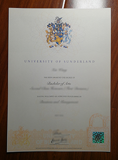 University of Sunderland degree